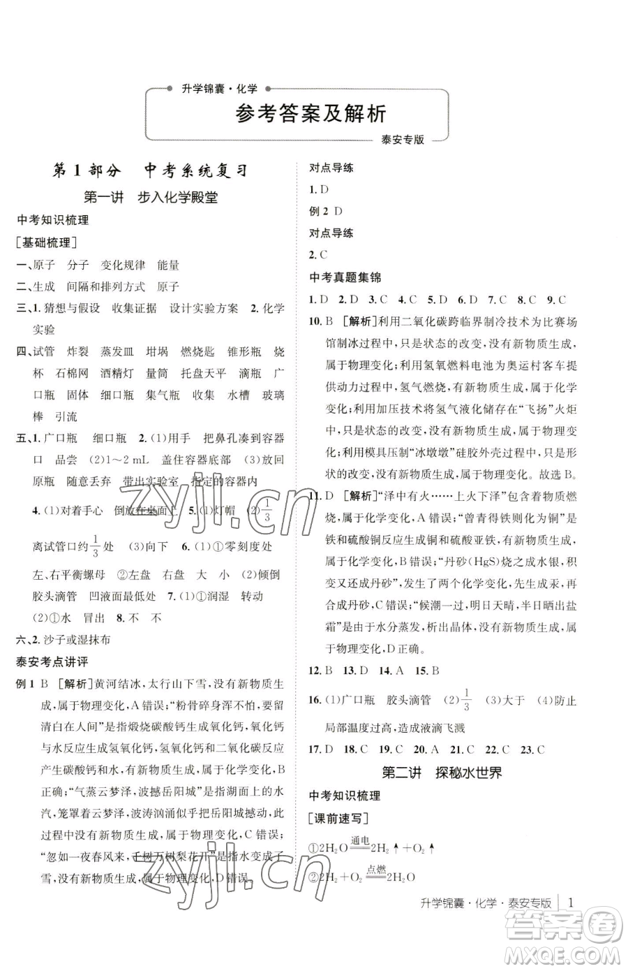 新疆青少年出版社2023升學(xué)錦囊九年級(jí)全一冊(cè)化學(xué)泰安專(zhuān)版參考答案