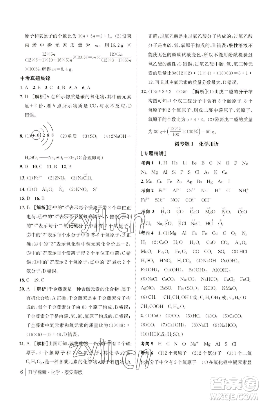 新疆青少年出版社2023升學(xué)錦囊九年級(jí)全一冊(cè)化學(xué)泰安專(zhuān)版參考答案