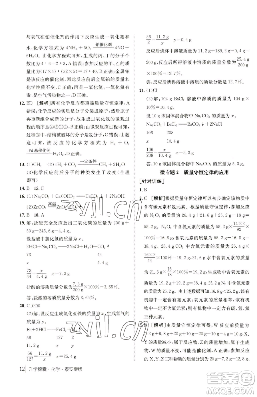 新疆青少年出版社2023升學(xué)錦囊九年級(jí)全一冊(cè)化學(xué)泰安專(zhuān)版參考答案