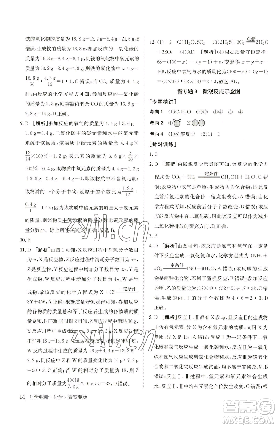 新疆青少年出版社2023升學(xué)錦囊九年級(jí)全一冊(cè)化學(xué)泰安專(zhuān)版參考答案