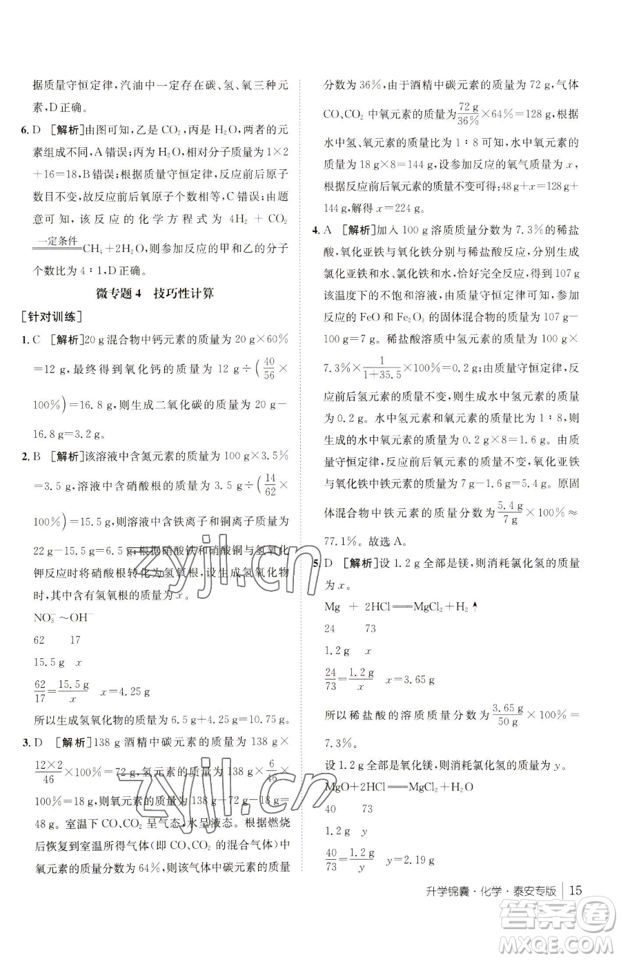 新疆青少年出版社2023升學(xué)錦囊九年級(jí)全一冊(cè)化學(xué)泰安專(zhuān)版參考答案