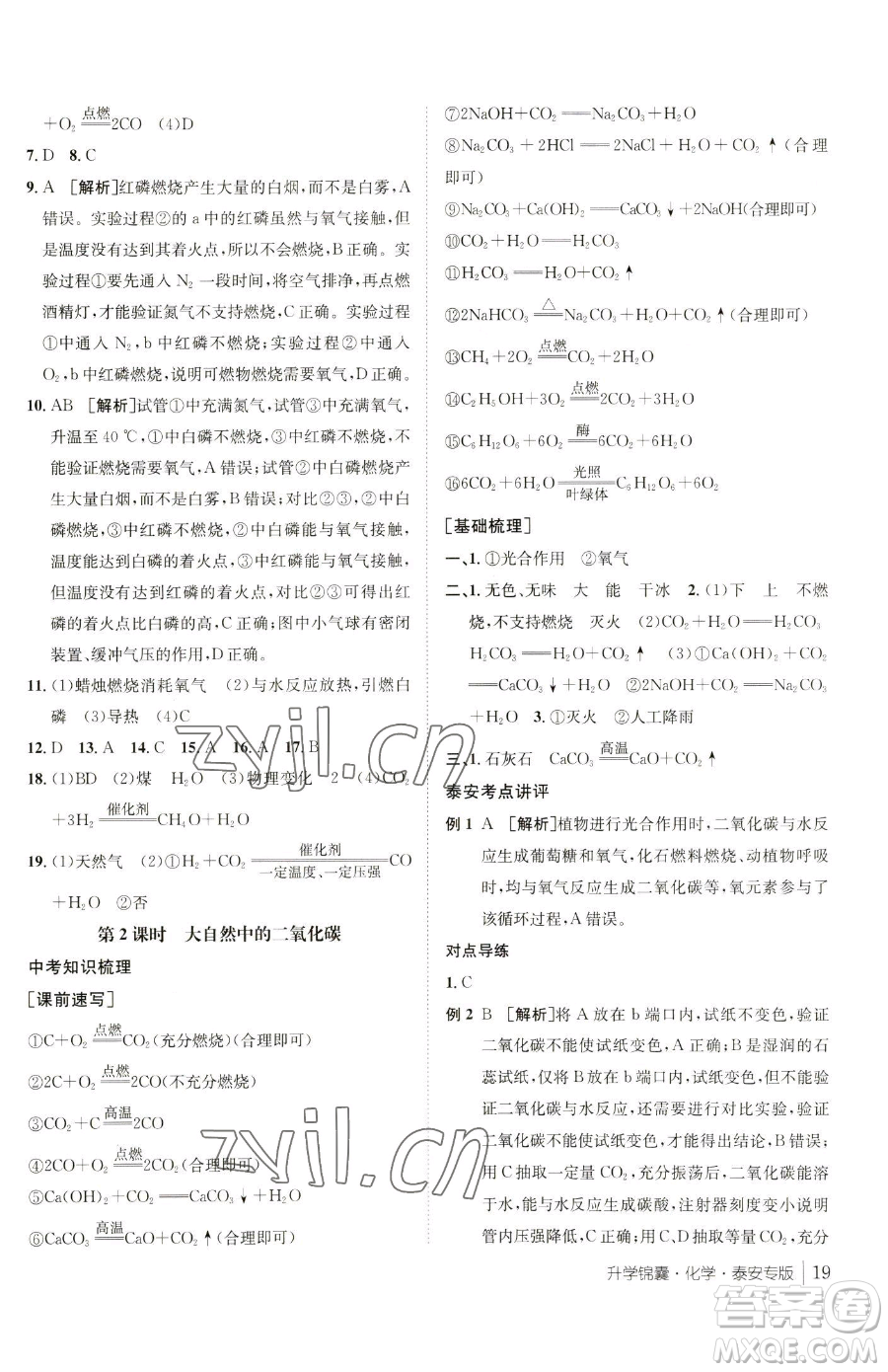 新疆青少年出版社2023升學(xué)錦囊九年級(jí)全一冊(cè)化學(xué)泰安專(zhuān)版參考答案