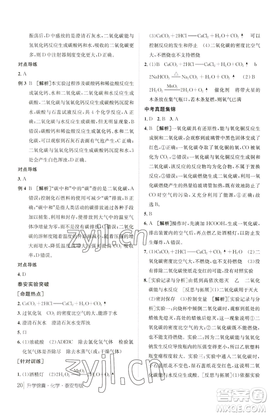 新疆青少年出版社2023升學(xué)錦囊九年級(jí)全一冊(cè)化學(xué)泰安專(zhuān)版參考答案