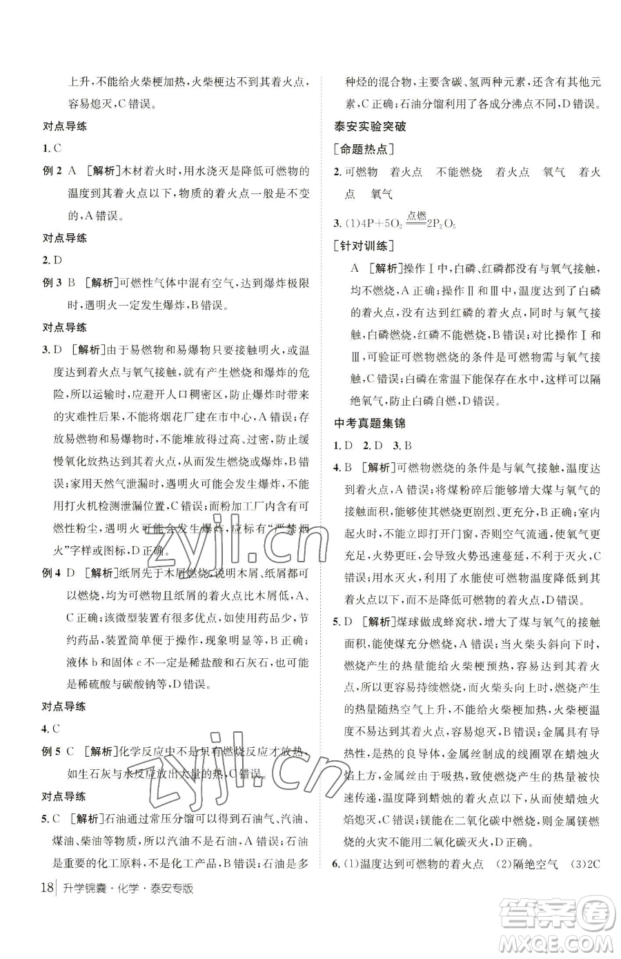 新疆青少年出版社2023升學(xué)錦囊九年級(jí)全一冊(cè)化學(xué)泰安專(zhuān)版參考答案