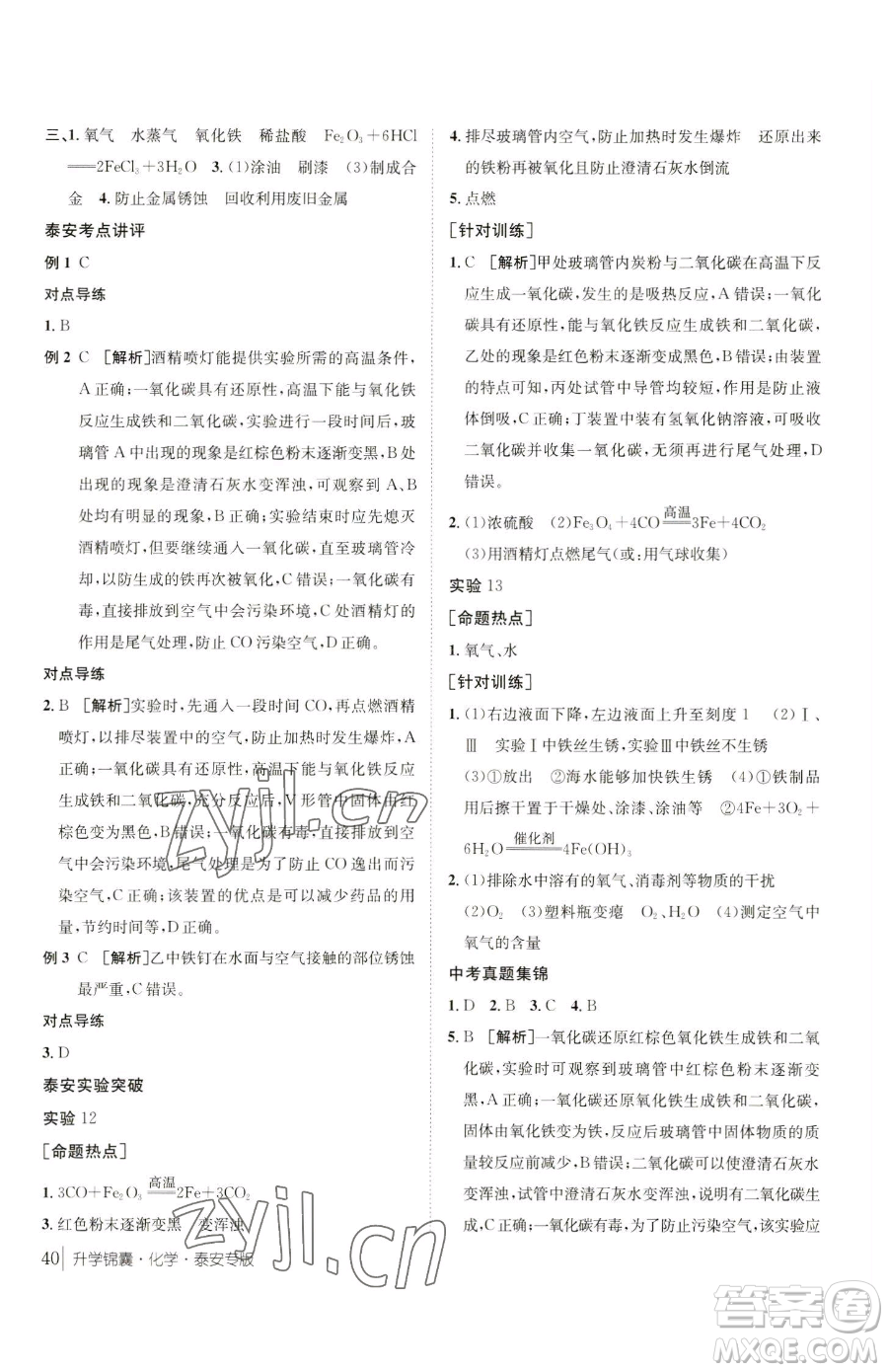 新疆青少年出版社2023升學(xué)錦囊九年級(jí)全一冊(cè)化學(xué)泰安專(zhuān)版參考答案