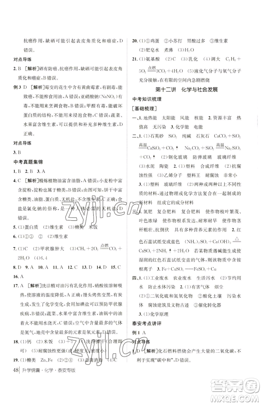 新疆青少年出版社2023升學(xué)錦囊九年級(jí)全一冊(cè)化學(xué)泰安專(zhuān)版參考答案