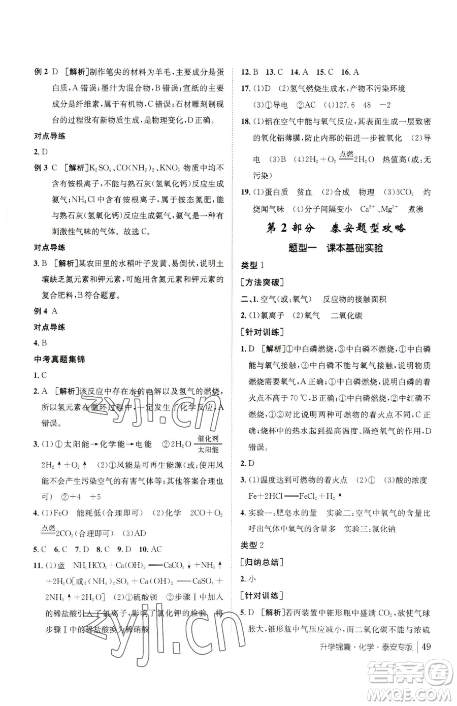 新疆青少年出版社2023升學(xué)錦囊九年級(jí)全一冊(cè)化學(xué)泰安專(zhuān)版參考答案