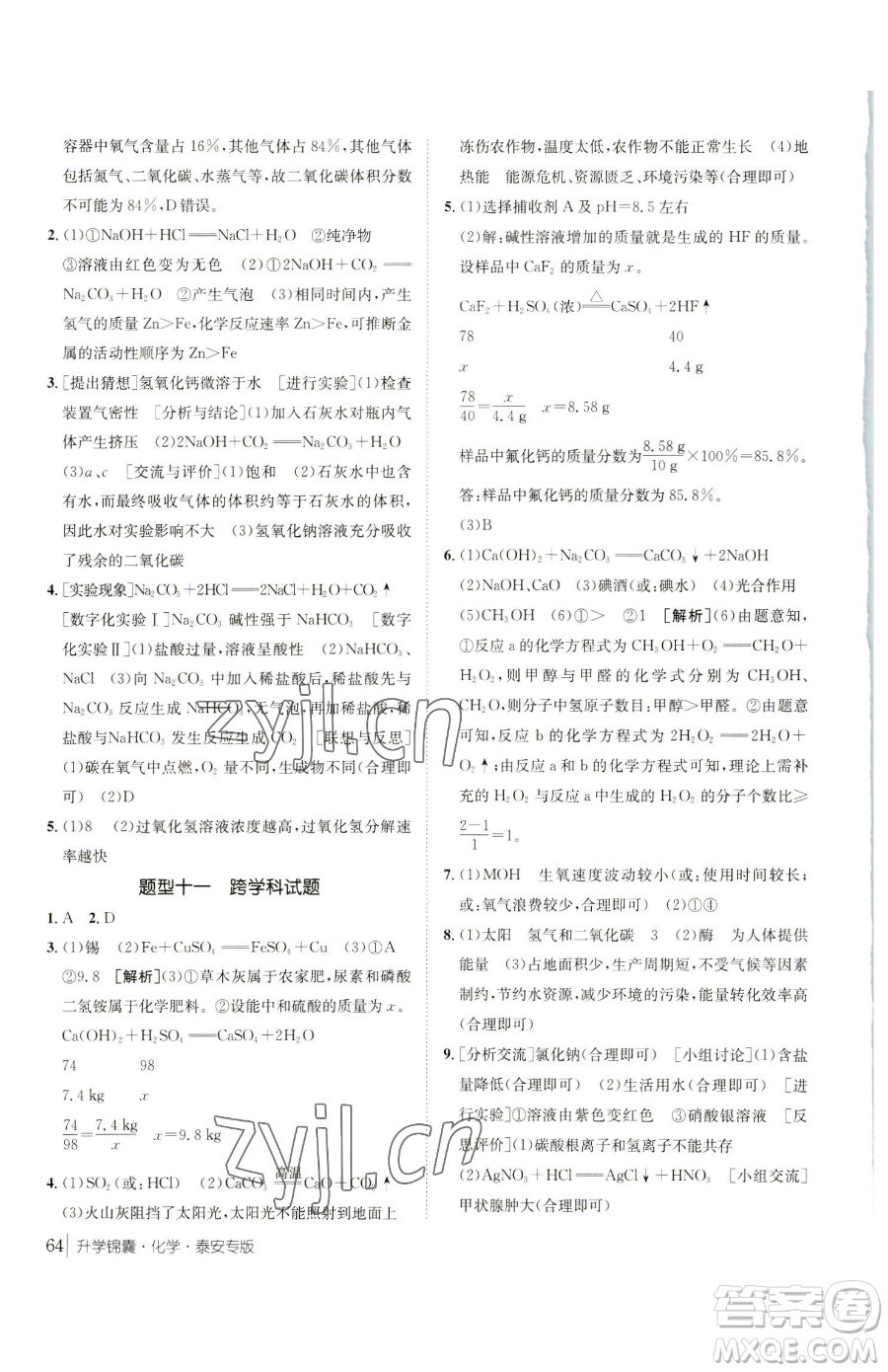 新疆青少年出版社2023升學(xué)錦囊九年級(jí)全一冊(cè)化學(xué)泰安專(zhuān)版參考答案