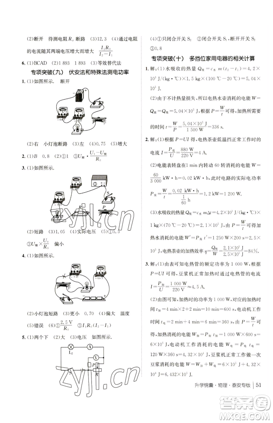 新疆青少年出版社2023升學(xué)錦囊九年級全一冊物理泰安專版參考答案