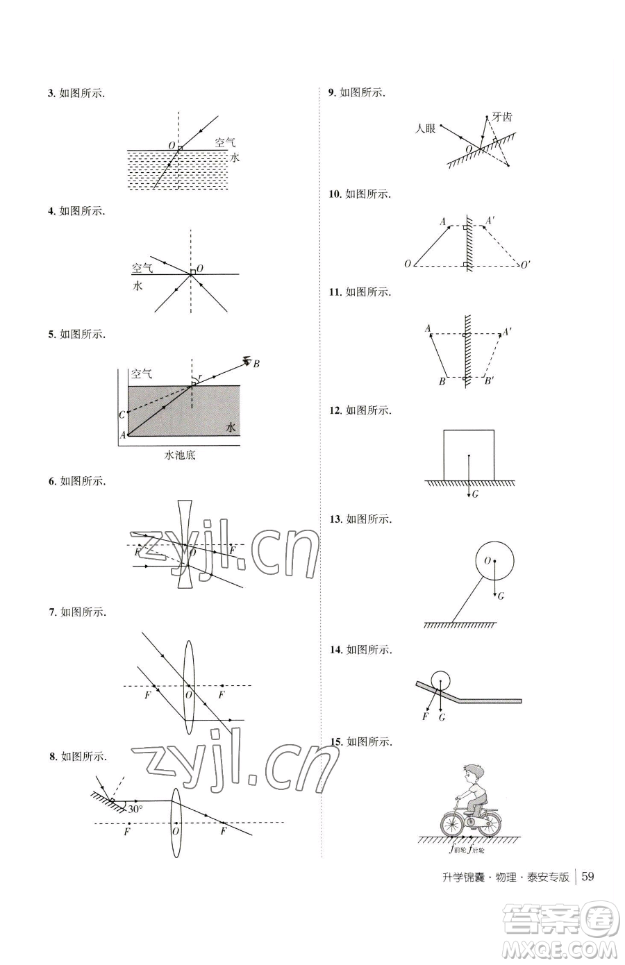 新疆青少年出版社2023升學(xué)錦囊九年級全一冊物理泰安專版參考答案