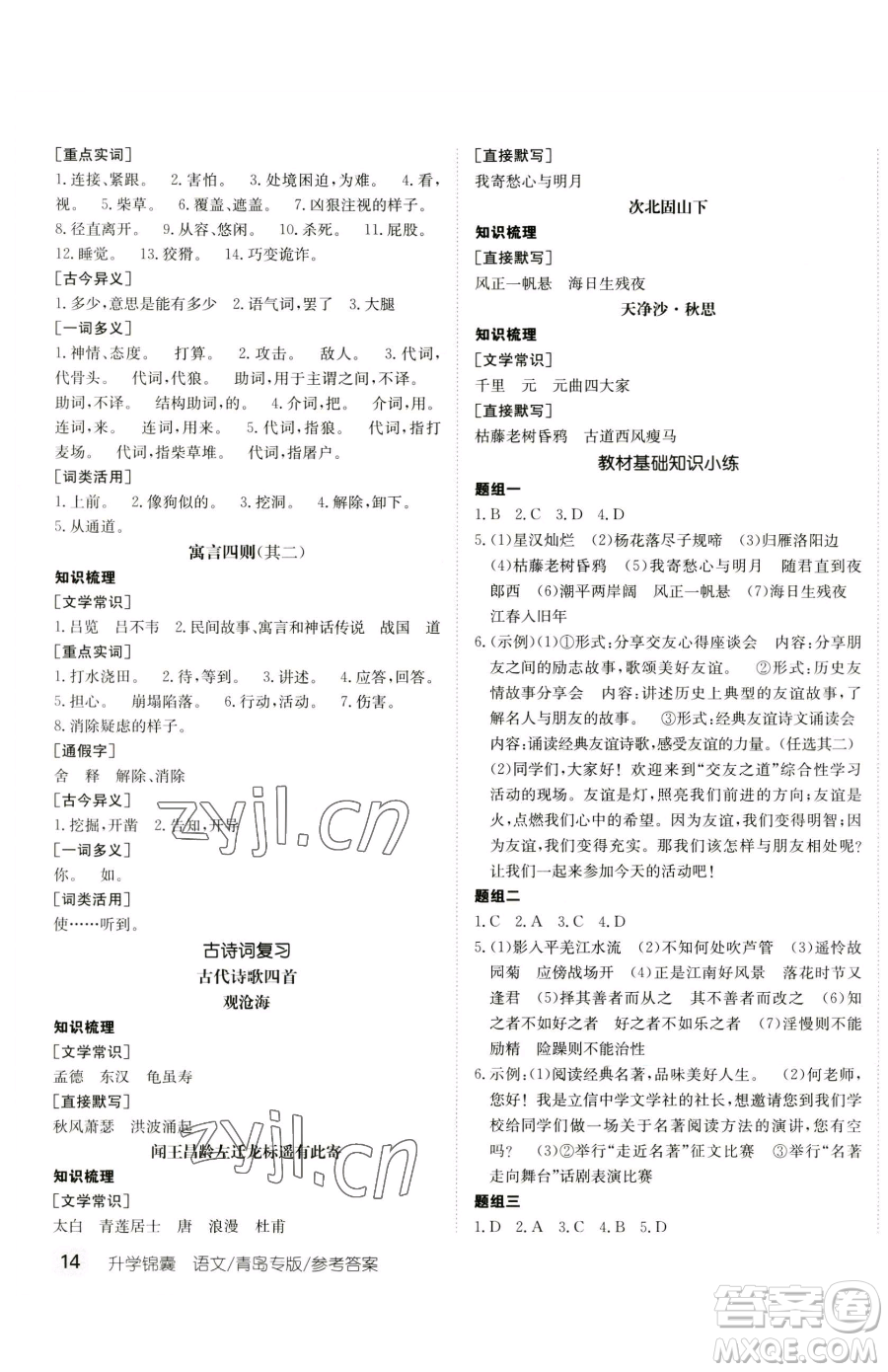 新疆青少年出版社2023升學(xué)錦囊九年級全一冊語文青島專版參考答案