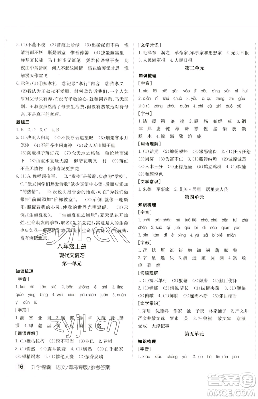 新疆青少年出版社2023升學(xué)錦囊九年級全一冊語文青島專版參考答案