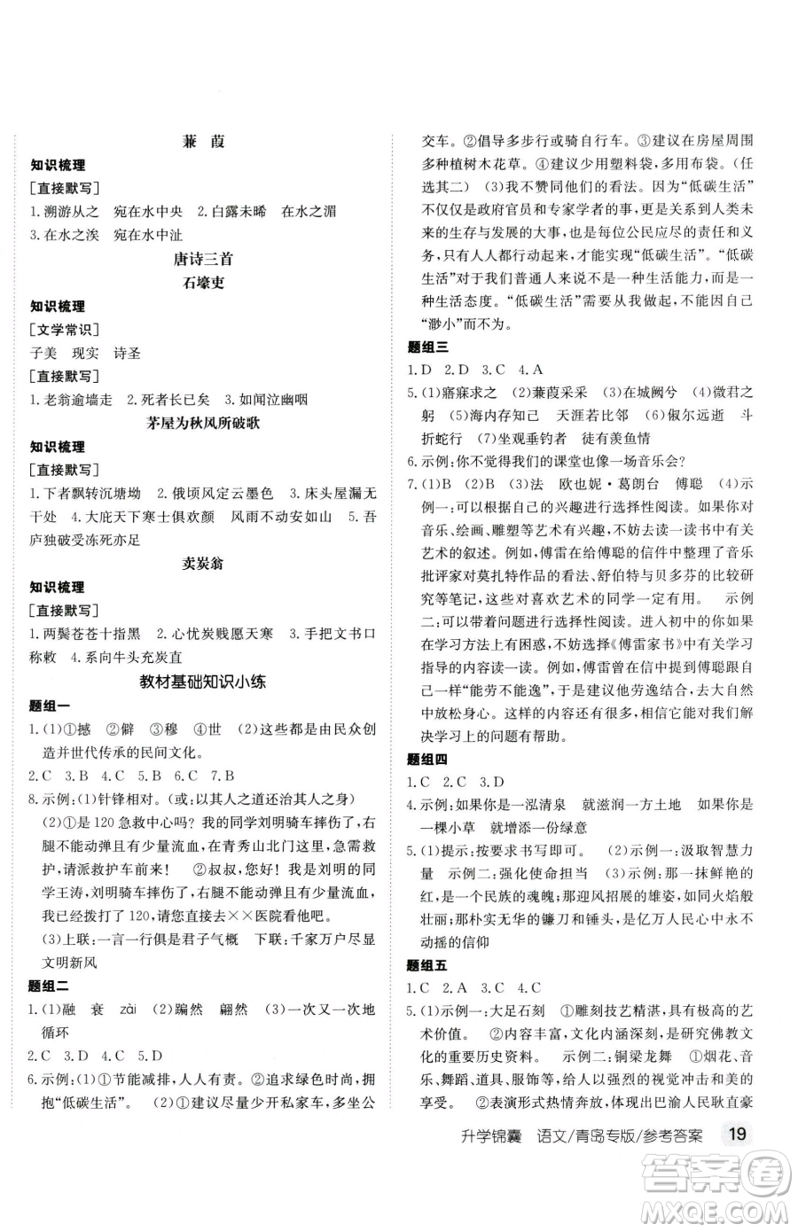 新疆青少年出版社2023升學(xué)錦囊九年級全一冊語文青島專版參考答案