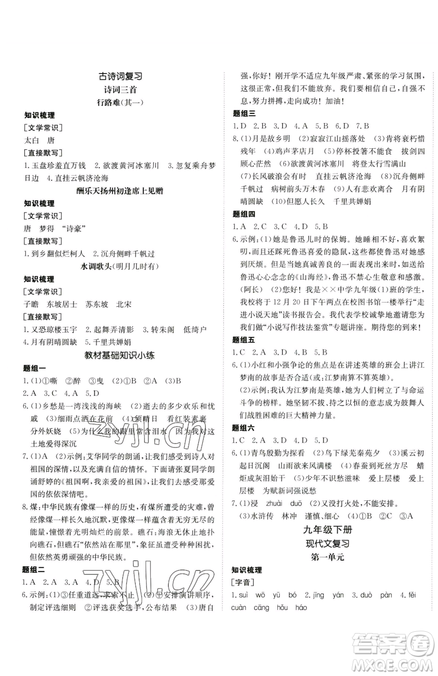 新疆青少年出版社2023升學(xué)錦囊九年級全一冊語文青島專版參考答案