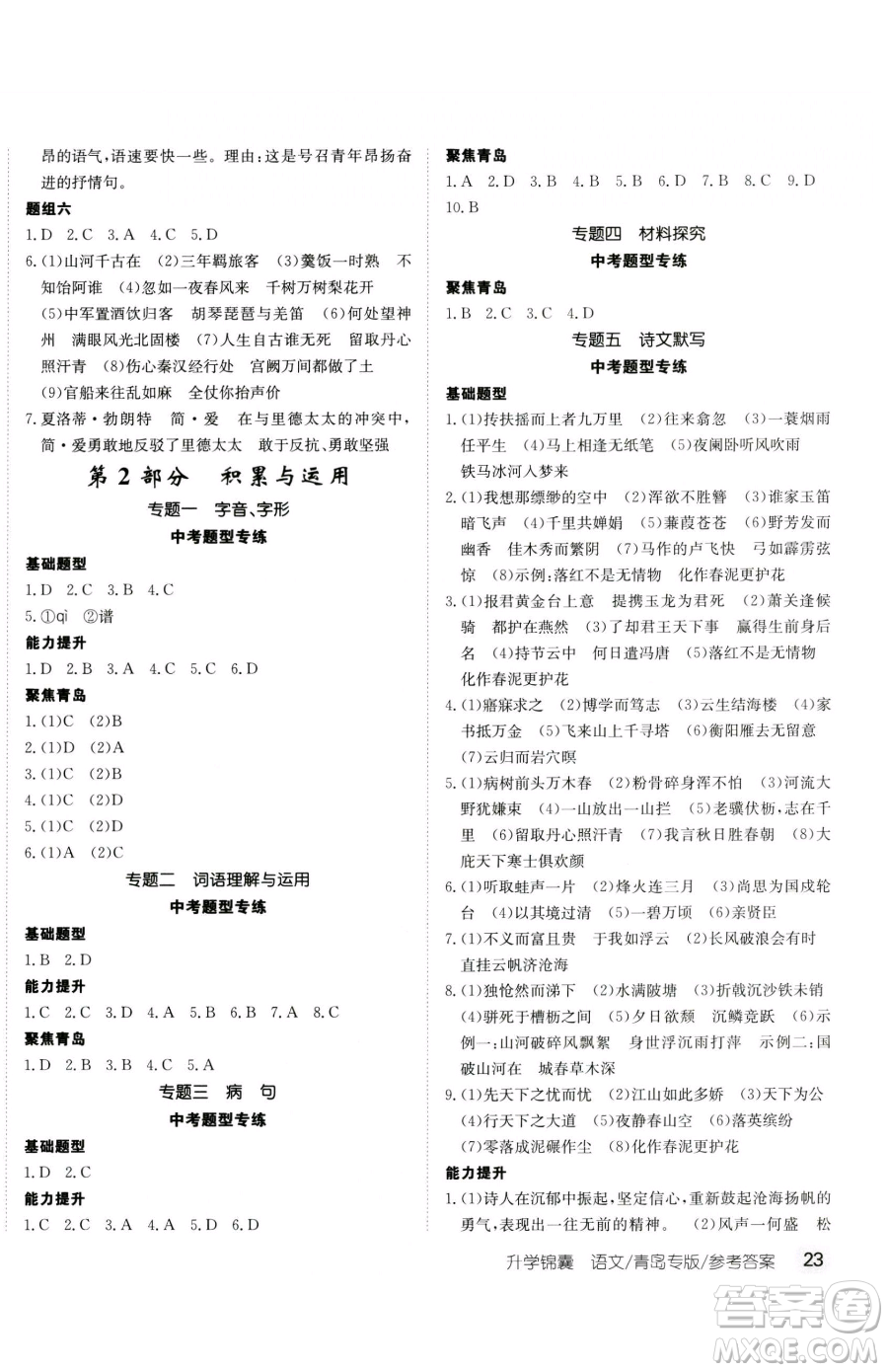 新疆青少年出版社2023升學(xué)錦囊九年級全一冊語文青島專版參考答案