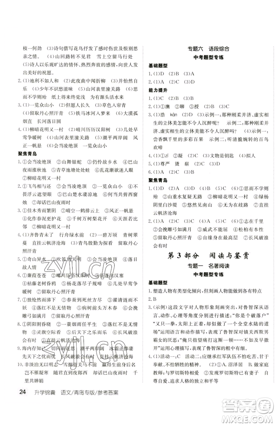 新疆青少年出版社2023升學(xué)錦囊九年級全一冊語文青島專版參考答案