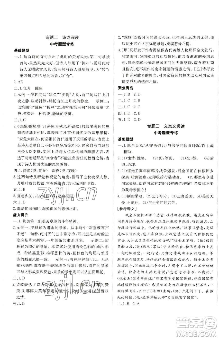 新疆青少年出版社2023升學(xué)錦囊九年級全一冊語文青島專版參考答案