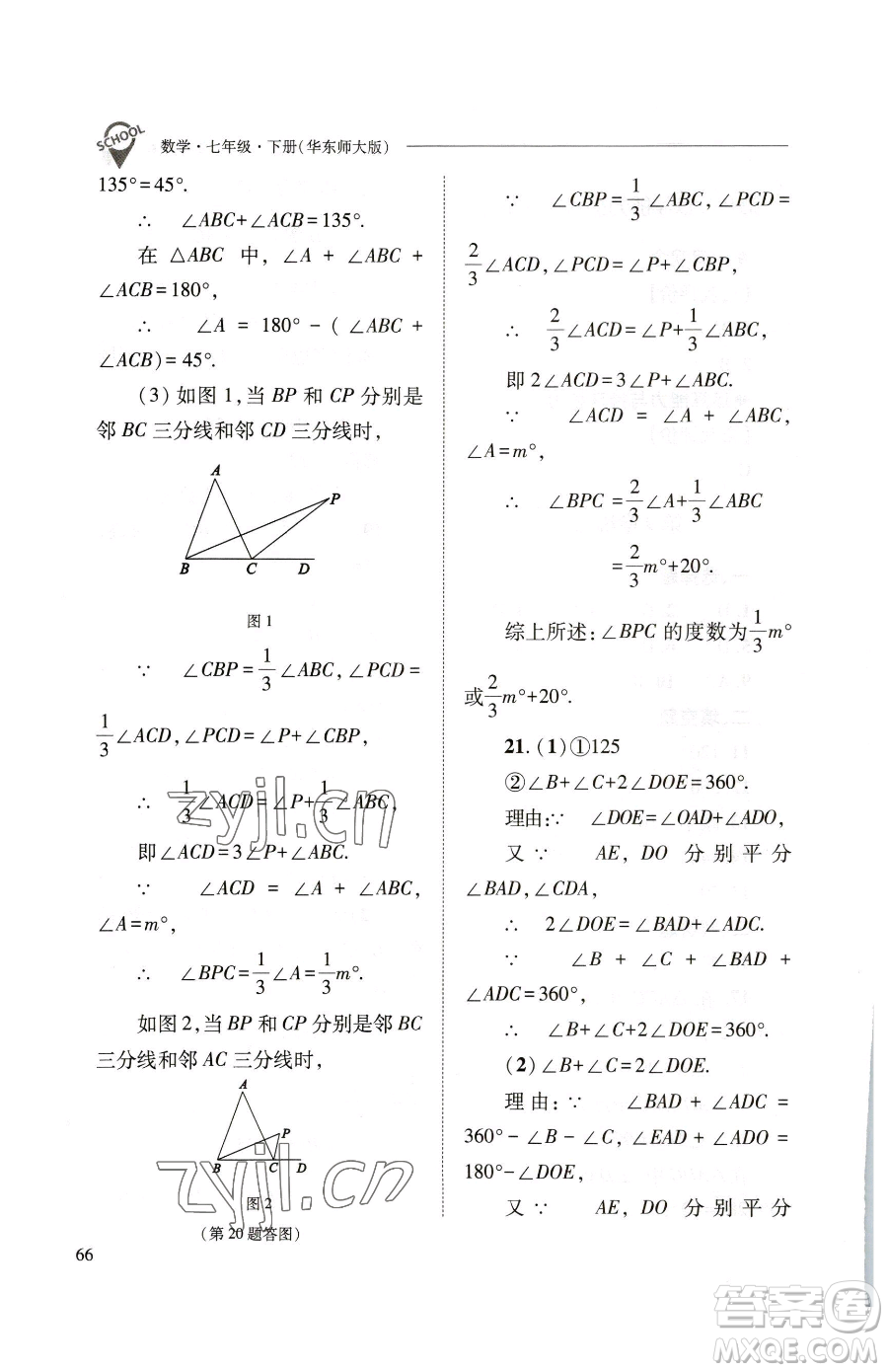 山西教育出版社2023新課程問(wèn)題解決導(dǎo)學(xué)方案七年級(jí)下冊(cè)數(shù)學(xué)華東師大版參考答案