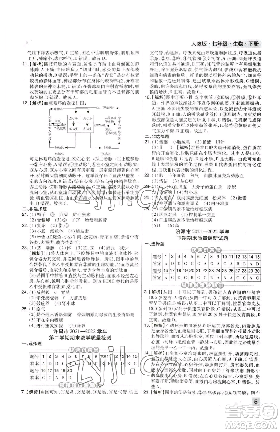 陽光出版社2023期末考試必刷卷七年級下冊生物人教版河南專版參考答案