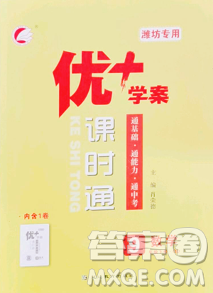 延邊教育出版社2023優(yōu)+學案課時通九年級下冊數(shù)學青島版濰坊專版參考答案