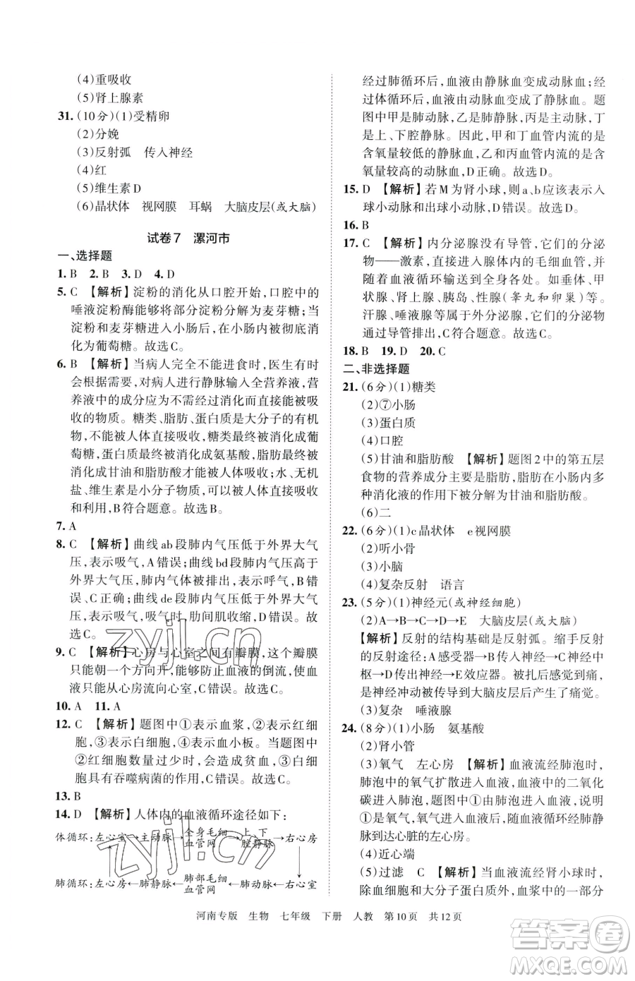 江西人民出版社2023王朝霞各地期末試卷精選七年級下冊生物人教版河南專版參考答案