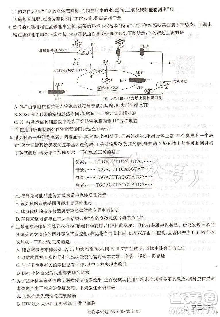 名校聯(lián)考聯(lián)合體2023年春季高二期末聯(lián)考暨新高三適應性聯(lián)合考試生物學試卷答案