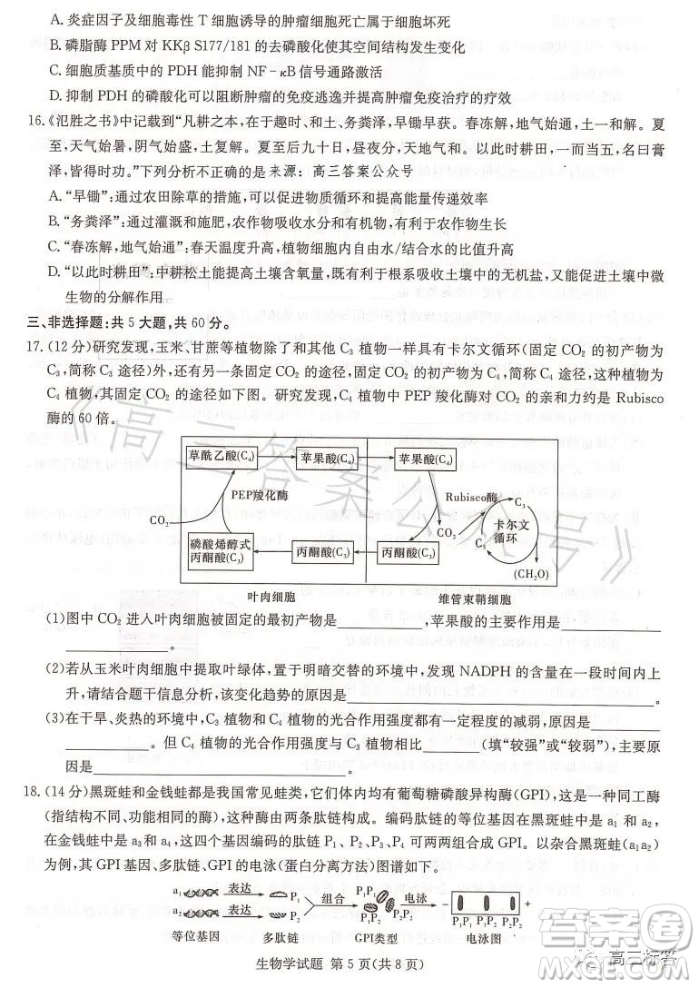 名校聯(lián)考聯(lián)合體2023年春季高二期末聯(lián)考暨新高三適應性聯(lián)合考試生物學試卷答案