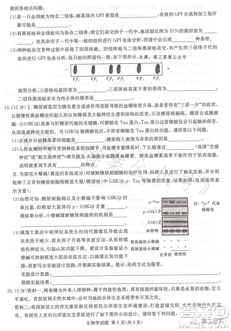 名校聯(lián)考聯(lián)合體2023年春季高二期末聯(lián)考暨新高三適應性聯(lián)合考試生物學試卷答案