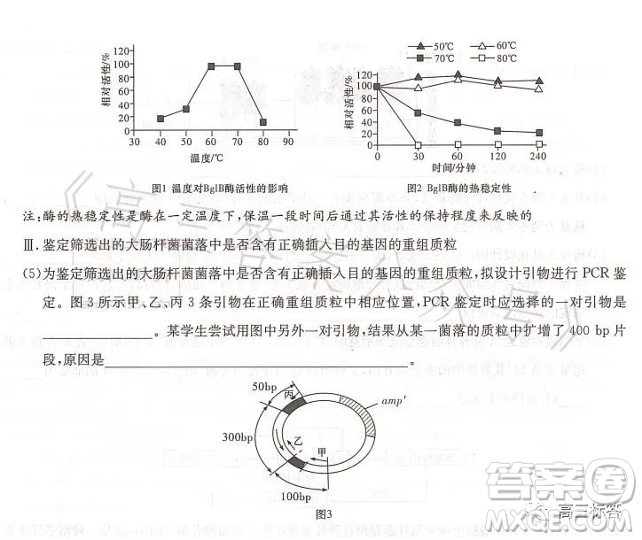 名校聯(lián)考聯(lián)合體2023年春季高二期末聯(lián)考暨新高三適應性聯(lián)合考試生物學試卷答案