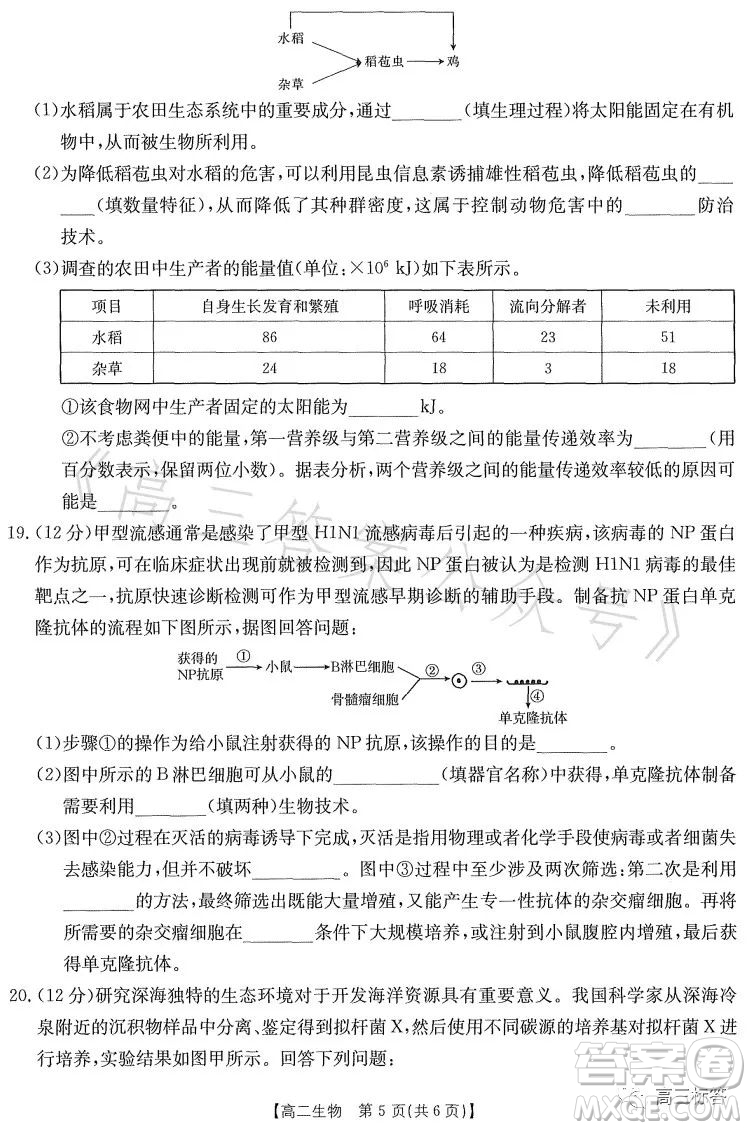 2023江西金太陽聯(lián)考高二6月聯(lián)考生物學試卷答案