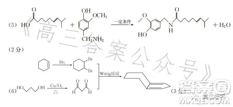 2023邯鄲市高二年級第二學(xué)期期末考試化學(xué)試卷答案