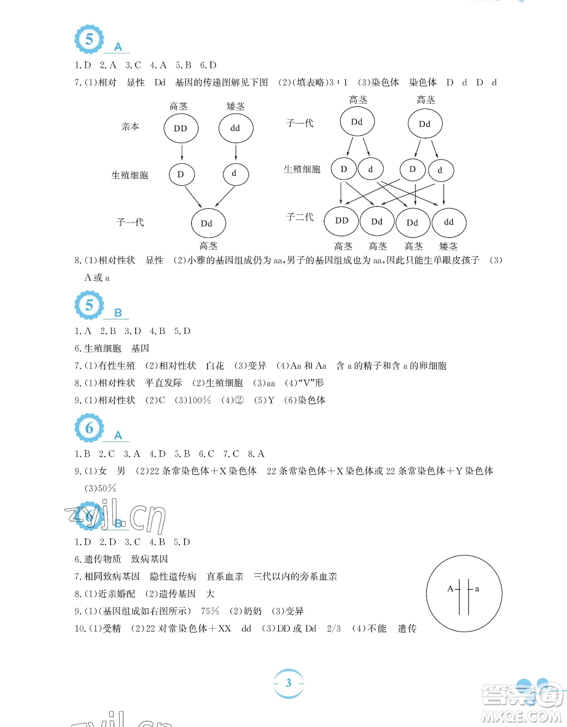 安徽教育出版社2023暑假作業(yè)八年級(jí)生物學(xué)蘇教版參考答案