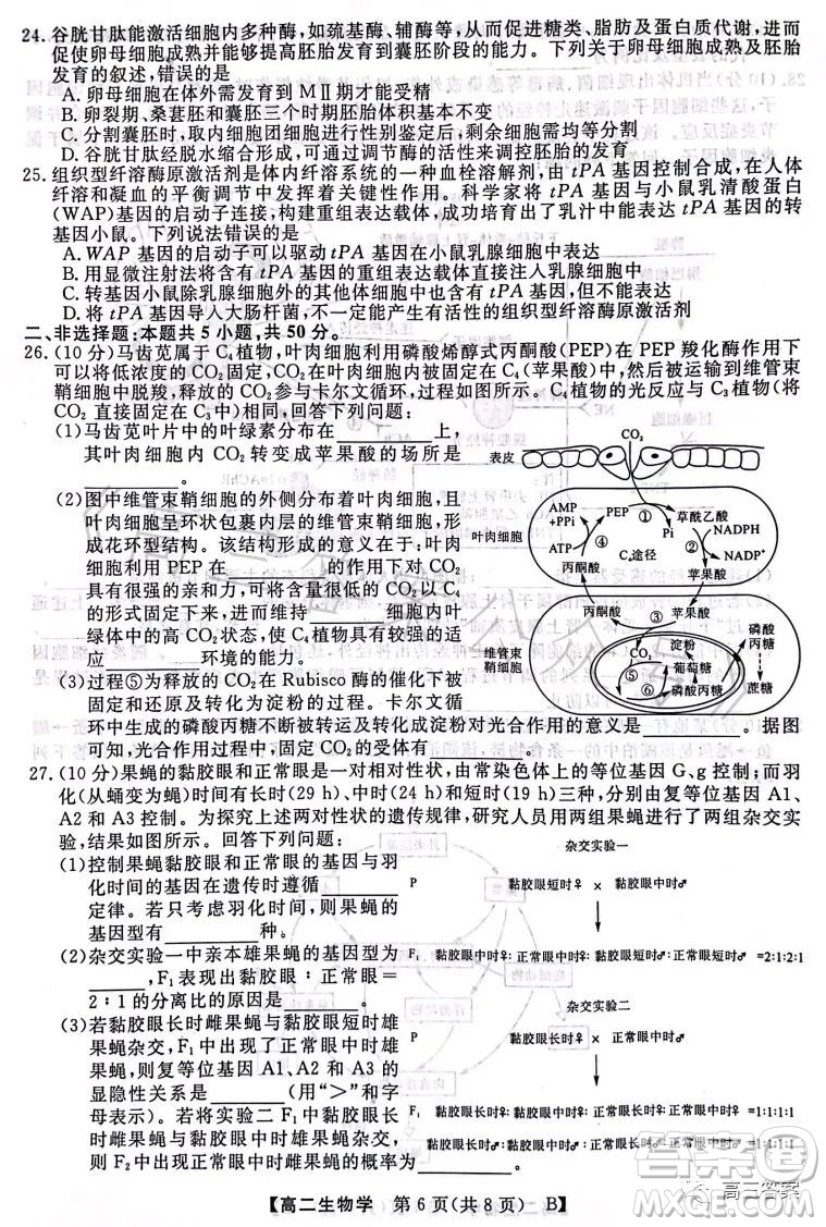 2023年春季學(xué)期高二年級7月質(zhì)量檢測生物試卷答案