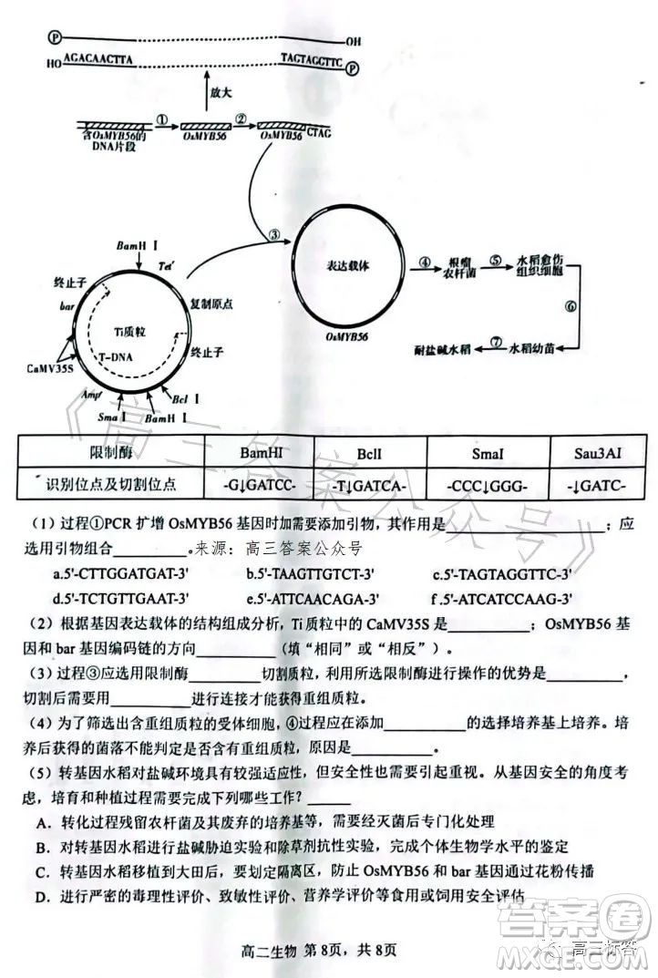 遼寧協(xié)作校2022-2023學年度下學期高二期末考試生物學試卷答案