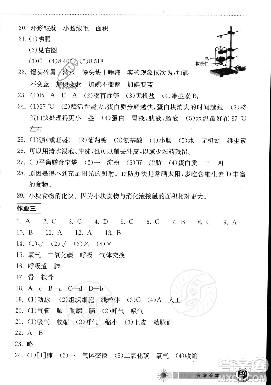 湖北教育出版社2023長江作業(yè)本暑假作業(yè)七年級生物通用版參考答案