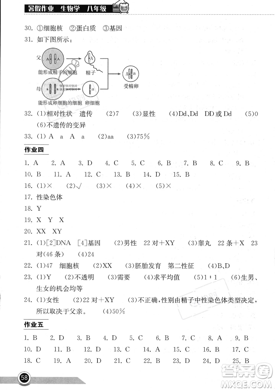 湖北教育出版社2023長(zhǎng)江作業(yè)本暑假作業(yè)八年級(jí)生物通用版參考答案