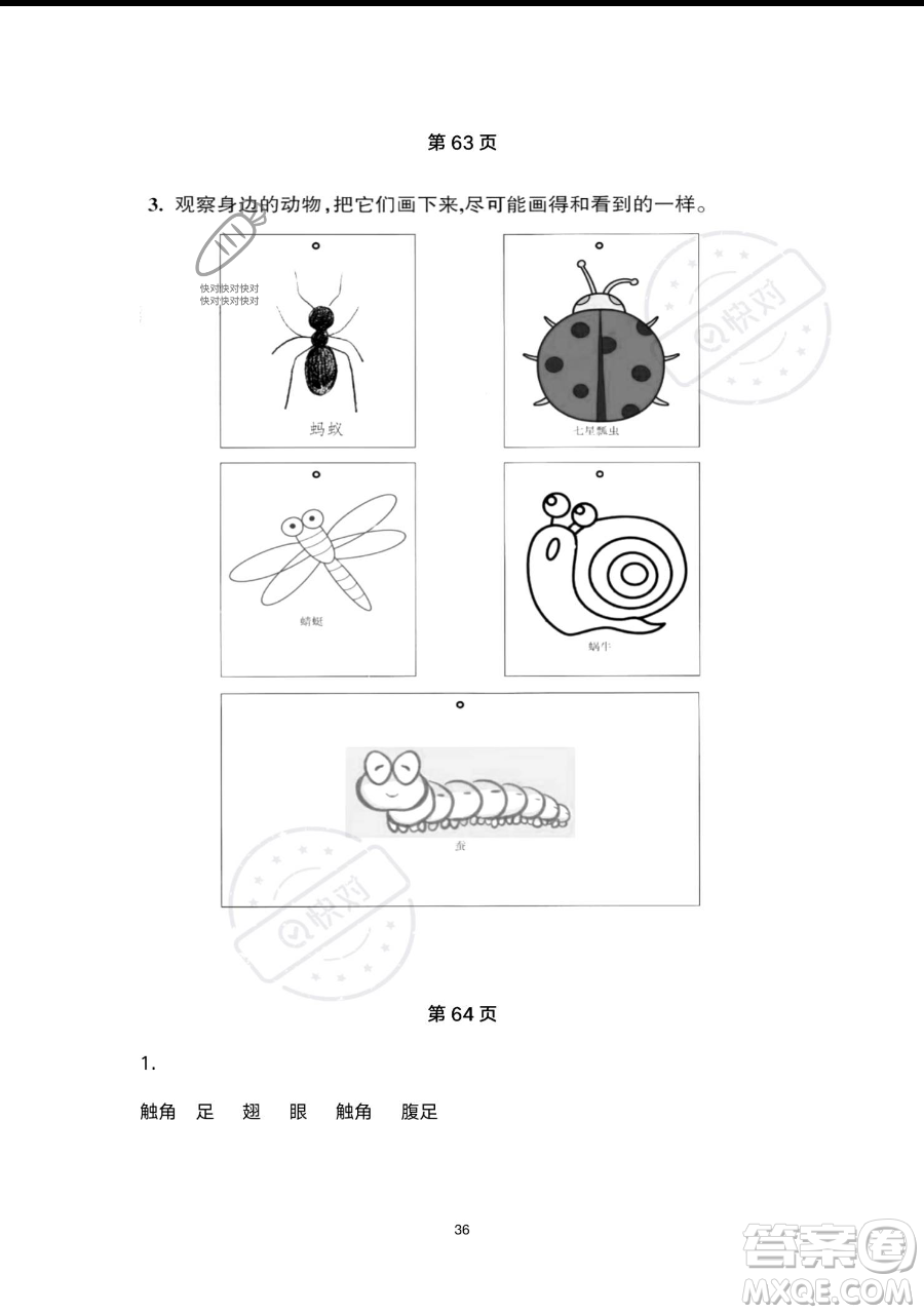 浙江教育出版社2023暑假作業(yè)本一年級合訂本人教版參考答案