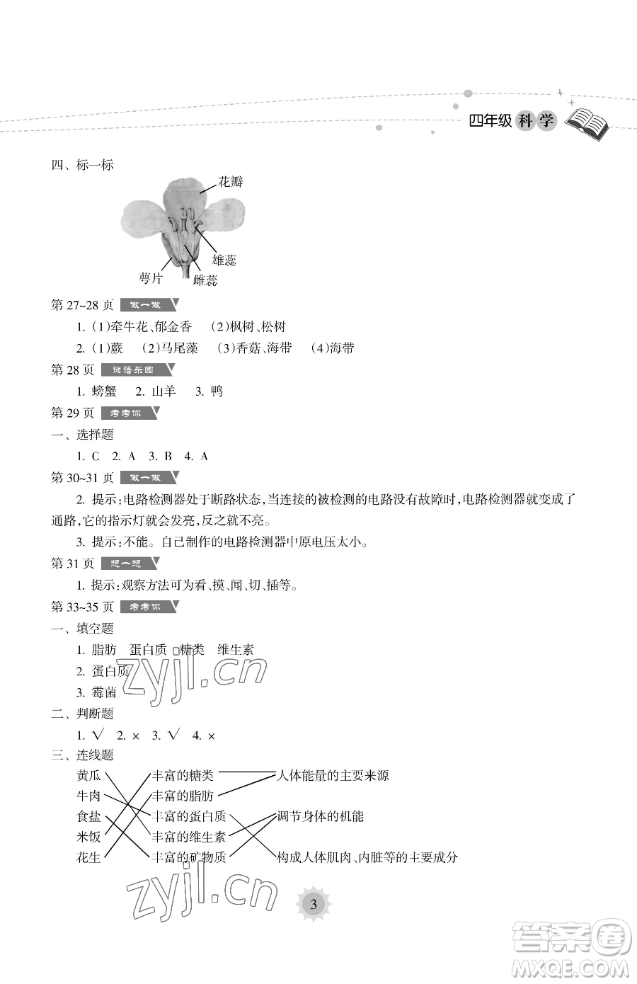 海南出版社2023暑假樂園四年級(jí)科學(xué)教科版參考答案