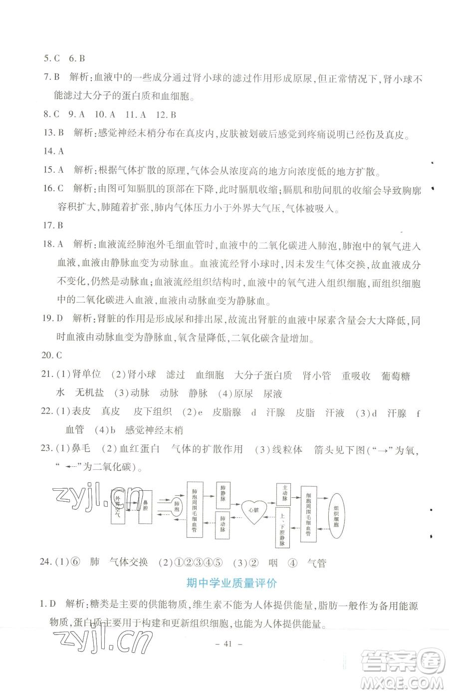 北京師范大學出版社2023課內課外直通車七年級下冊生物北師大版福建專版參考答案