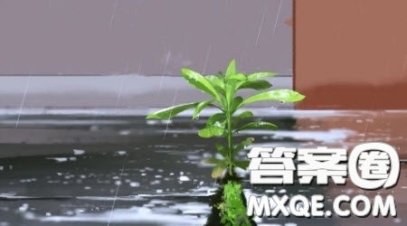 江南的雨主題作文600字 關(guān)于寫江南的雨的作文600字