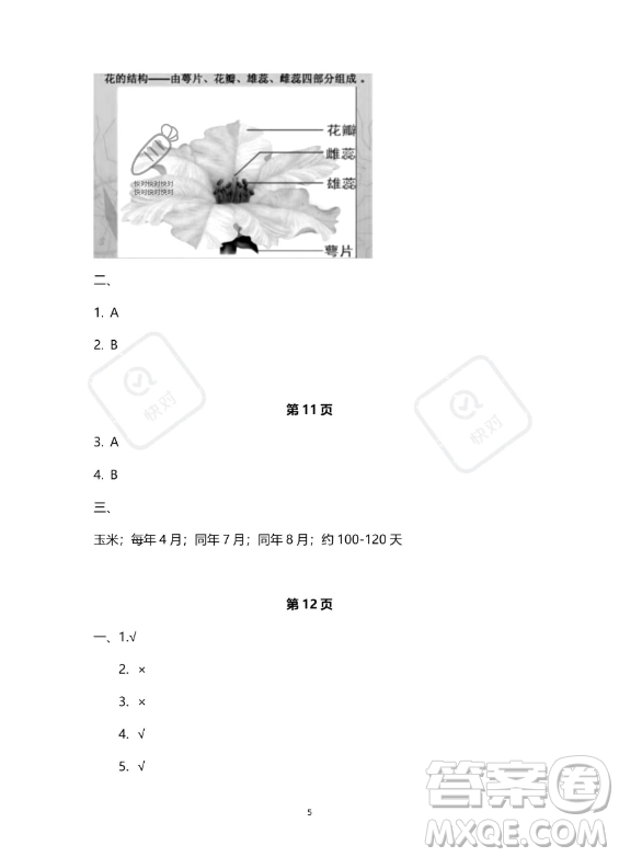 教育科學(xué)出版社2023年暑假作業(yè)四年級(jí)科學(xué)教科版答案