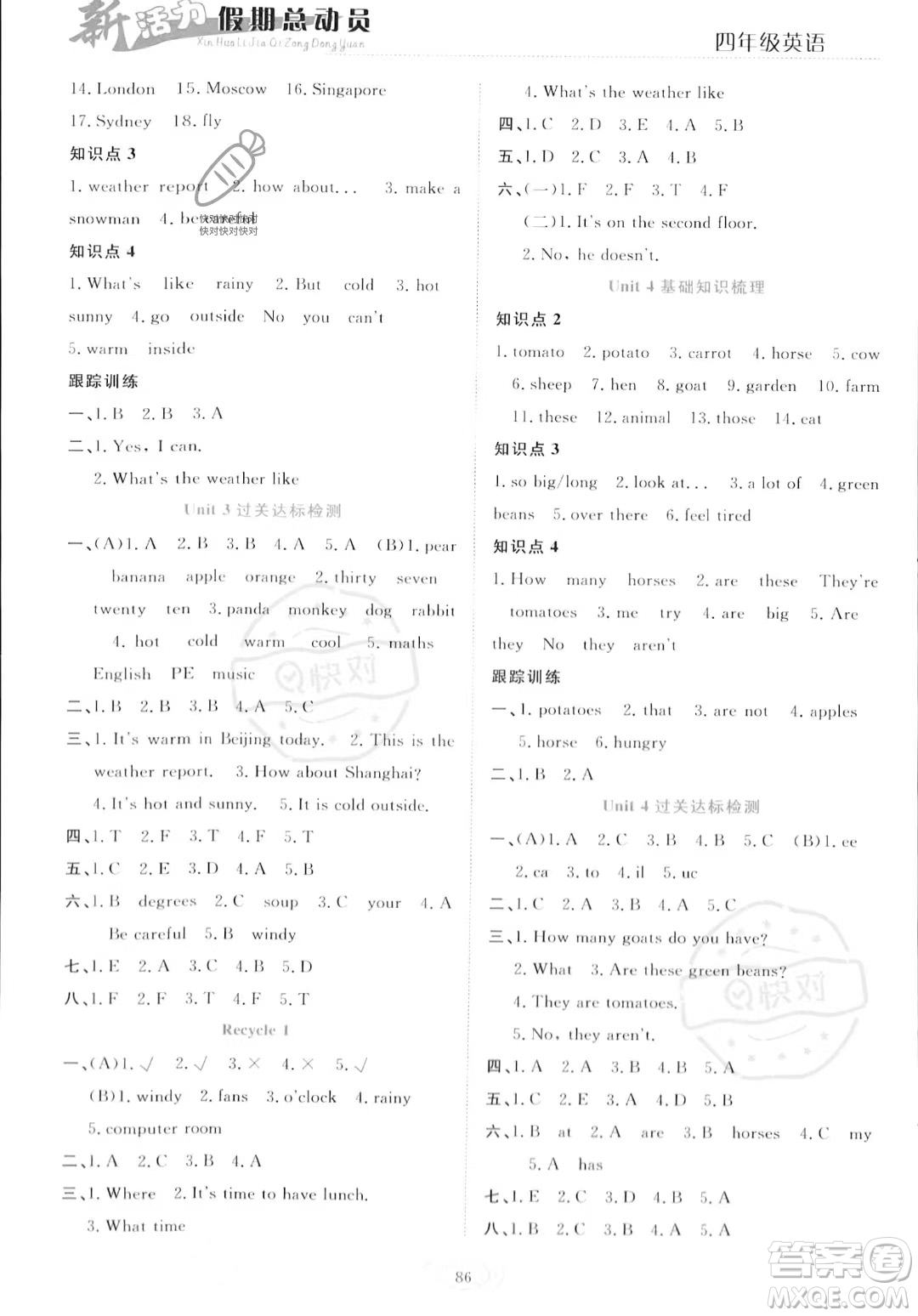 甘肅文化出版社2023年新活力暑假總動員四年級英語通用版答案