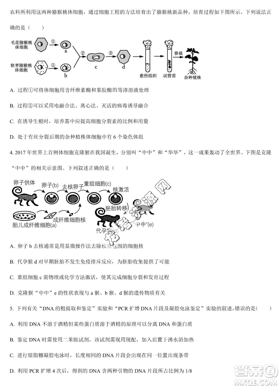 大慶實(shí)驗(yàn)中學(xué)2022-2023學(xué)年高二下學(xué)期期末考試生物試題答案