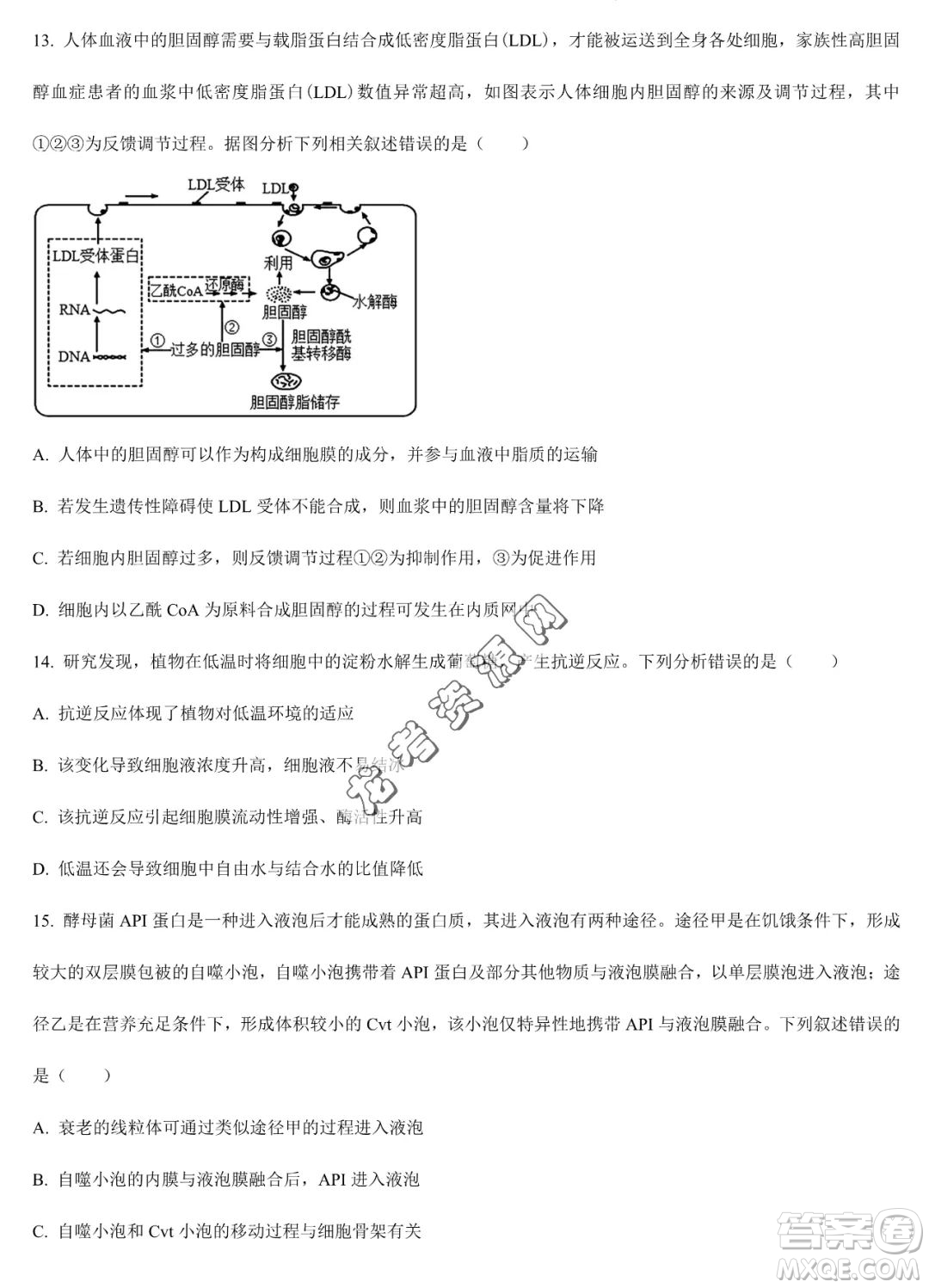 大慶實(shí)驗(yàn)中學(xué)2022-2023學(xué)年高二下學(xué)期期末考試生物試題答案