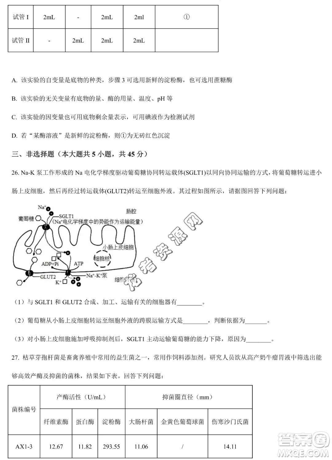 大慶實(shí)驗(yàn)中學(xué)2022-2023學(xué)年高二下學(xué)期期末考試生物試題答案