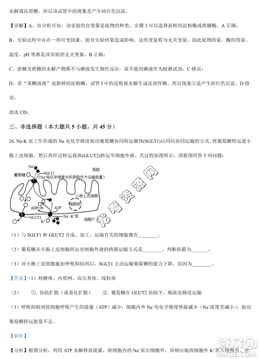 大慶實(shí)驗(yàn)中學(xué)2022-2023學(xué)年高二下學(xué)期期末考試生物試題答案