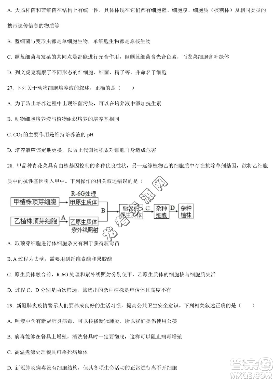 雙鴨山市第一中學(xué)2022-2023學(xué)年高二下學(xué)期期末考試生物試卷答案