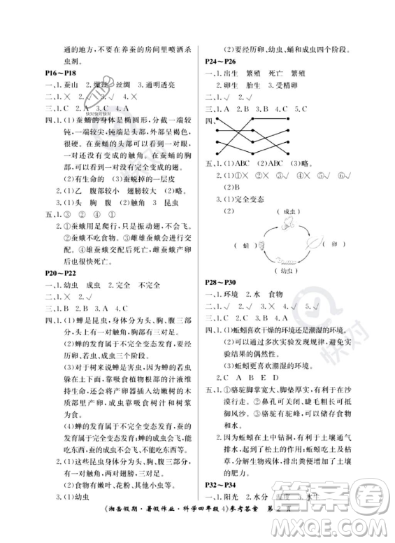 湖南大學(xué)出版社2023湘岳假期暑假作業(yè)四年級(jí)科學(xué)通用版答案