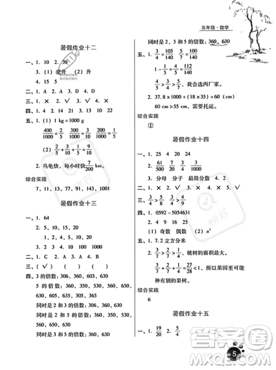 河北人民出版社2023年暑假生活五年級(jí)數(shù)學(xué)通用版答案