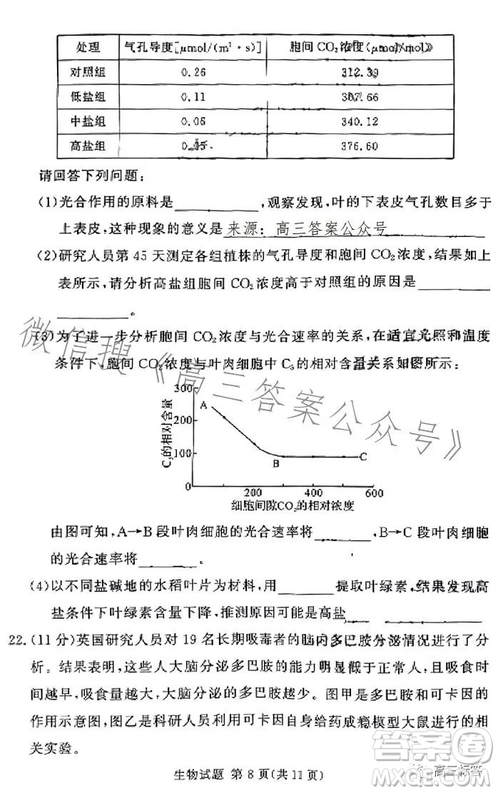 湘豫名校聯(lián)考2023年8月高三秋季入學(xué)摸底考試化學(xué)試卷答案